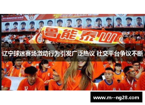 辽宁球迷赛场激动行为引发广泛热议 社交平台争议不断