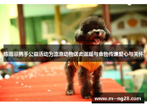 陈雨菲携手公益活动为流浪动物送去温暖与食物传递爱心与关怀 陈雨菲携手公益活动为流浪动物送去温暖与食物传递爱心与关怀