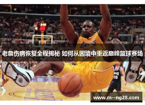 老詹伤病恢复全程揭秘 如何从困境中重返巅峰篮球赛场
