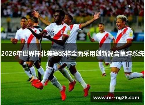 2026年世界杯北美赛场将全面采用创新混合草坪系统