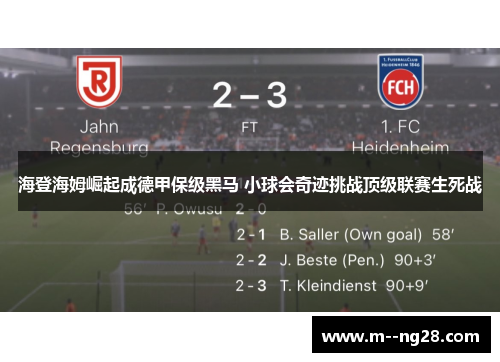 海登海姆崛起成德甲保级黑马 小球会奇迹挑战顶级联赛生死战